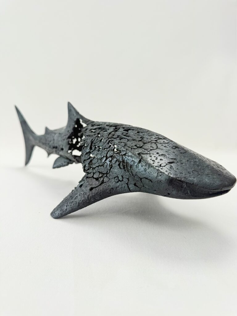 Requin Baleine Calciné